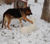 /album/fotogalerie-nove-bydleni/dsc-0320-jpg/