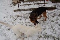 /album/fotogalerie-nove-bydleni/dsc-0307-jpg/