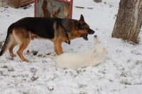 /album/fotogalerie-nove-bydleni/dsc-0321-jpg/