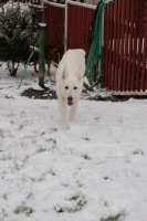 /album/fotogalerie-nove-bydleni/dsc-0341-jpg/